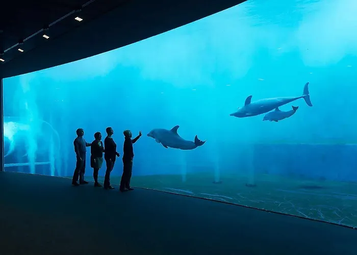 Apartman Fornaci 11 Rivieraholiday Pietra Ligure